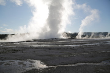  yellowstone national park the nature