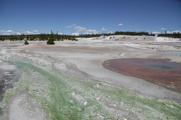  yellowstone national park the nature
