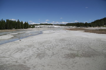  yellowstone national park the nature