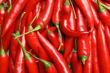 Ripe red chili peppers as background, top view