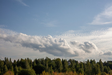 Clouds over the forest. Natural landscape.
