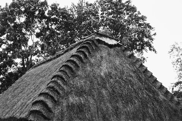 thetched roof