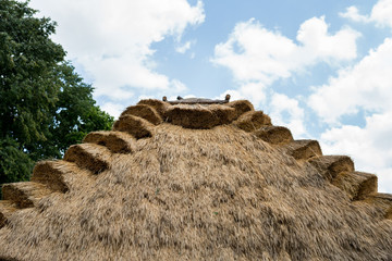 thetched roof