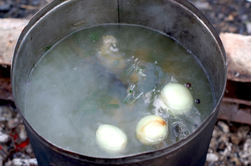 Cooking broth from fish. Cooking fish soup in a forest.
