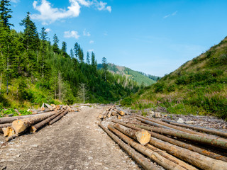 another road in the Tatra mountains