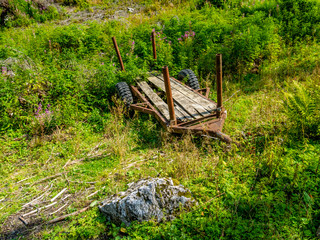 old wooden wagon in the forest