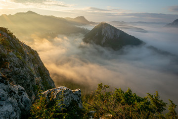Amazing panoramic view of the mountain with coniferous forests surrounded by fog. Romania. Ideal background for different types of collages and illustration