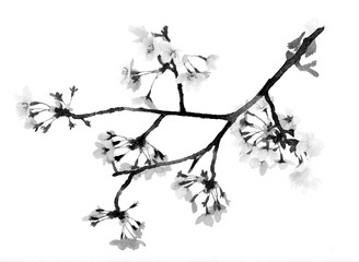 水墨　桜　背景素材　