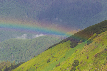 Mountain landscape with a rainbow over flowers