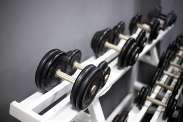 Naklejka na ściany i meble Dumbbells for sports. Dumbbells are in a row. Sport equipment. Occupation for men. Metal products.