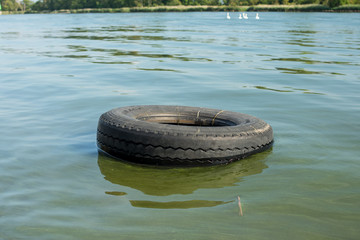 OLD TIRE FLOATS IN WATER  TREES AND SWAN