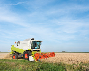 Obraz premium machine on field during barley harvest in friesland under blue summer sky