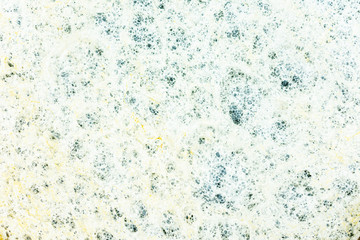 Bubbles of sea foam, texture, closeup, abstract background