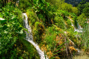 Crystal water of Plitvice Lakes. Landscapes and waterfalls.
