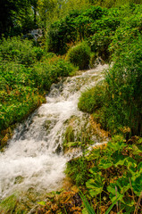 Crystal water of Plitvice Lakes. Landscapes and waterfalls.