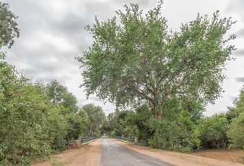Bridge on road H1-8 over the Levuvhu River