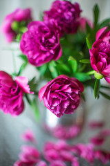 Bouquet of dark pink peonies flowers in a vase