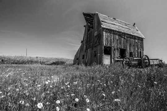 abandoned farm house black and white