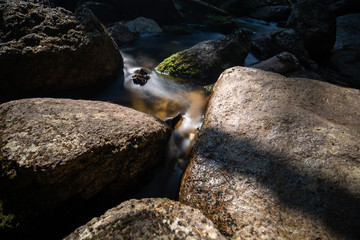 stream in the forest