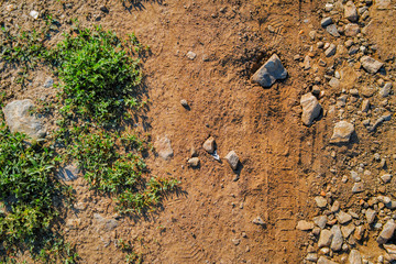 Dry soil texture and background. Green grass. Red soil background. Abstract ground. Natural...