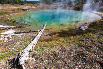 geothermal pool at the yellowstone