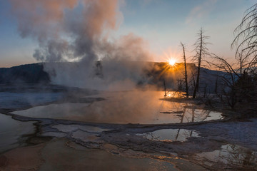 sunset with dead trees in thermal area at yellowstone