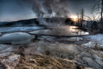 sunset with dead trees in thermal area at yellowstone
