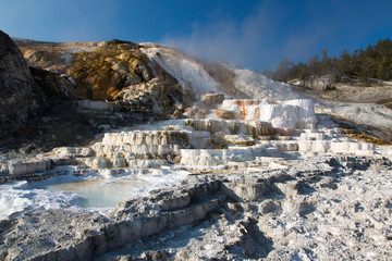 view of Mammoth Hot Springs at yellowstone
