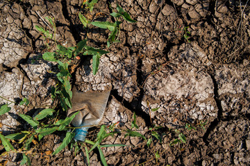 Cracked soil and green grass. Ground texture. Soil background. Cracked soil ground. Dry cracked soil texture and background. Green grass. Plastic garbage. Environmental pollution