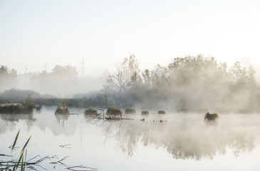 Landschaft an einem Moos See mit Nebel im Morgengrauen im Frühherbst © Mrql