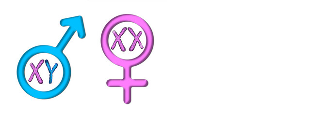 Colored graphics with white background symbolizing male and female with X and Y chromosomes