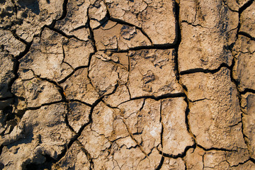 Cracked soil ground. Cracked soil texture or background. Natural abstraction. Ground background. Cracks on the ground. Red soil
