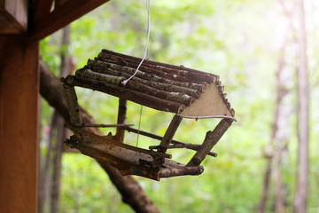 Naklejka premium The House Wren. A tiny house wren pauses outside her home.