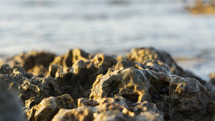 rocks on the beach