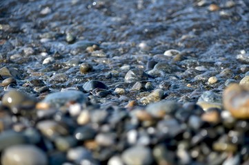 Pebbles on the seashore half flooded with water from a fresh wave.