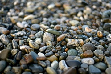 Wet sea pebbles of medium size and different colors in a natural environment on the beach.