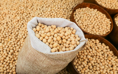 Raw dried soybean or soya bean