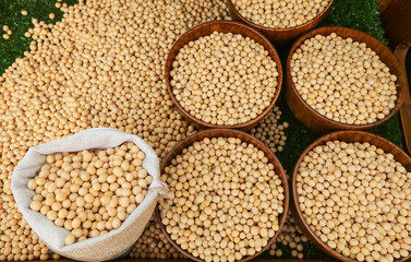Raw dried soybean or soya bean