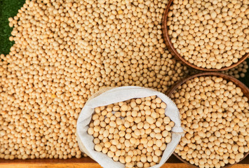Obraz premium Raw dried soybean or soya bean