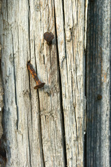 rusty nails nailed in old wood