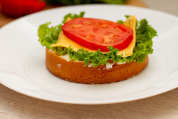 homemade burger in the kitchen