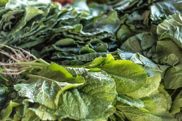 Mint and cabbage