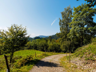 In Schönau im Schwarzwald mit tollen Aussichten in ruhiger Natur, wunderschöne Naturlandschaft und blau Himmel, entlang des idyllischen Philosophenweg und Letzbergweiher