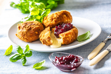 Fried camembert or brie cheese with cranberry jam and basil