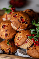 Fototapeta na wymiar Freshly baked cowberry muffins. Cranberry muffins with fresh berries on rustic background. Copy space.