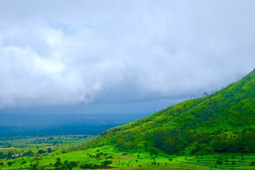 Obraz premium green landscape