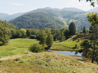 Schwarzwaldlandschaft - Kleine Rundwanderung in Schönau im Schwarzwald mit tollen Aussichten in...