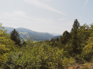 In Sch&ouml;nau im Schwarzwald mit tollen Aussichten in ruhiger Natur, wundersch&ouml;ne Naturlandschaft und blau Himmel, entlang des idyllischen Philosophenweg und Letzbergweiher
