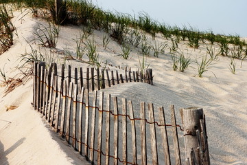 fencing protecting natural sand dunes on the new jersey coast