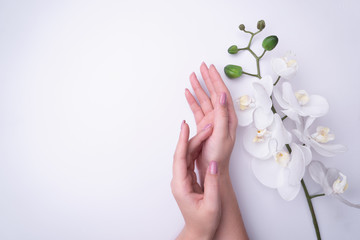 Fashion art portrait woman flowers in her hand with a bright contrasting makeup. Creative beauty photo girls sitting at table on a contrasting white background with colored shadows.
